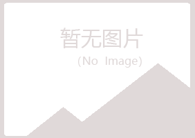 安丘字迹邮政有限公司